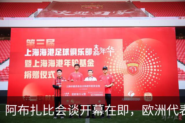 阿布扎比会谈开幕在即，欧洲代表：请自带机票和座位！