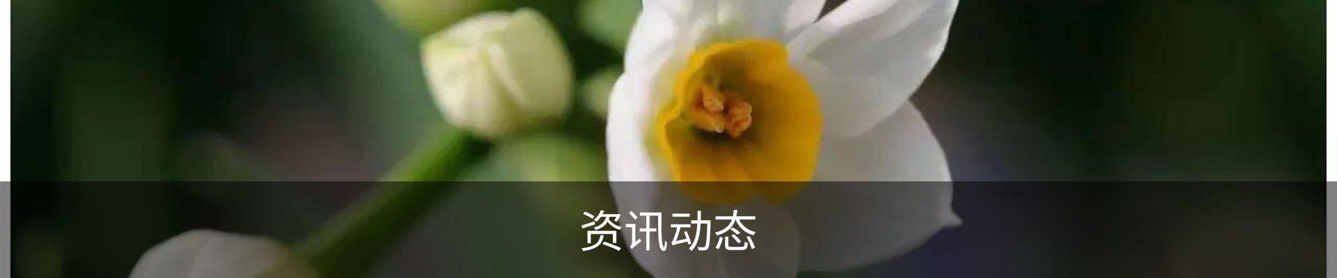 资讯动态